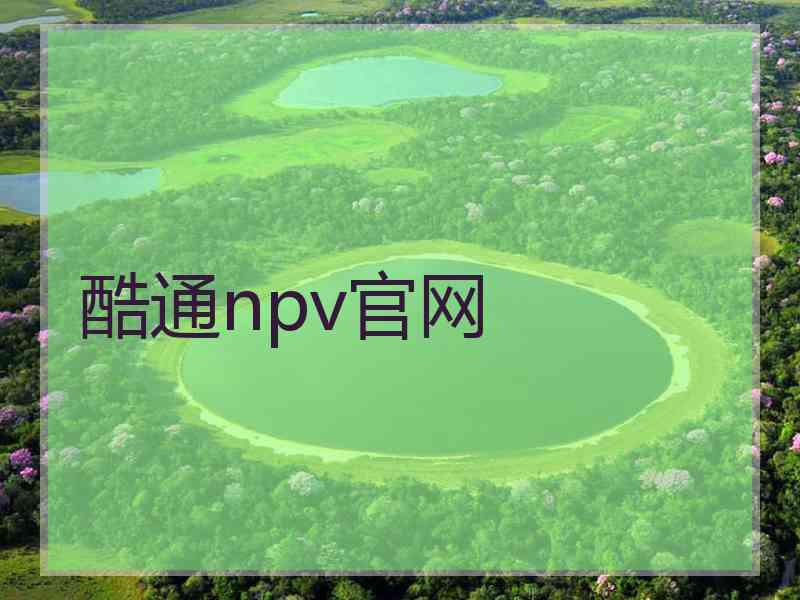 酷通npv官网