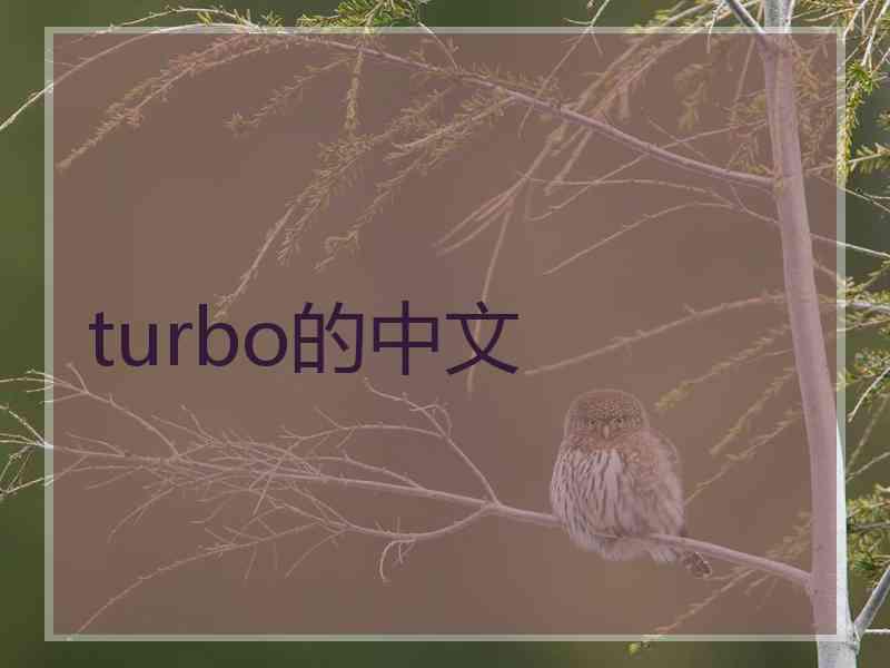 turbo的中文