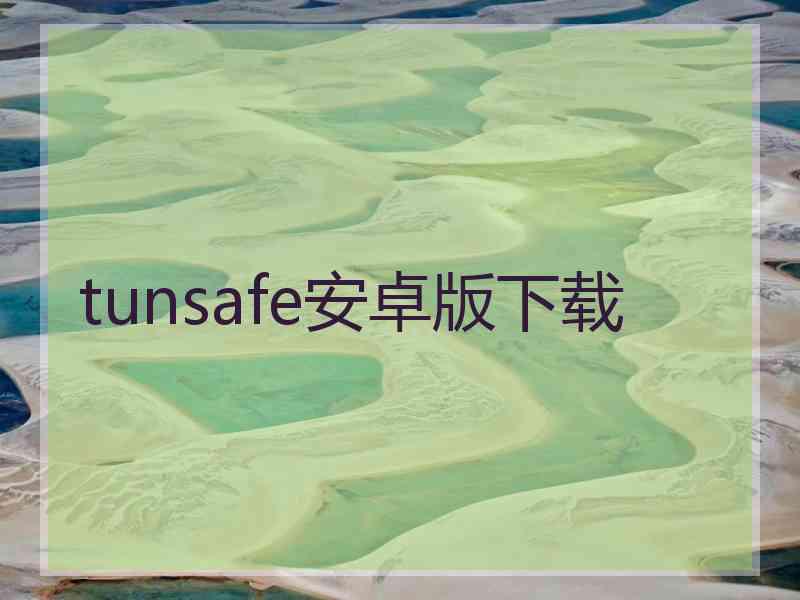 tunsafe安卓版下载