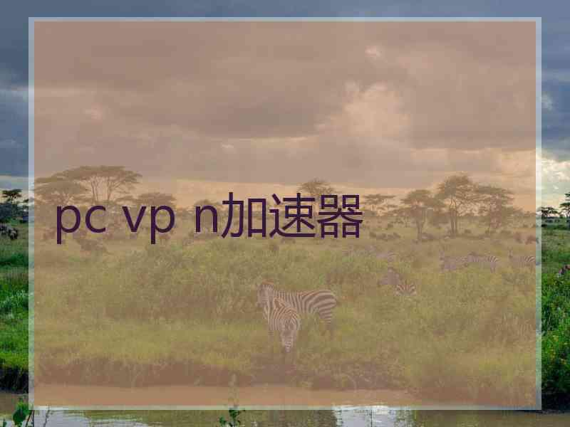 pc vp n加速器