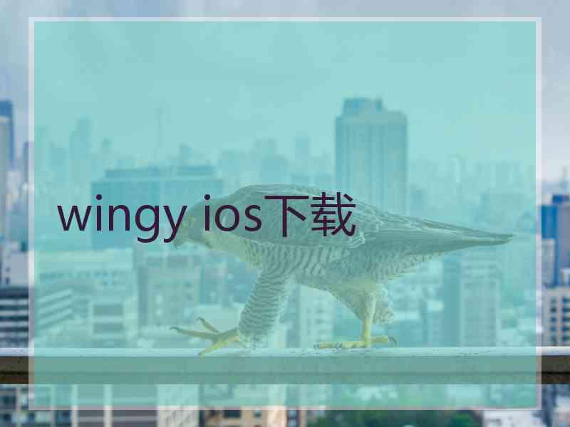 wingy ios下载