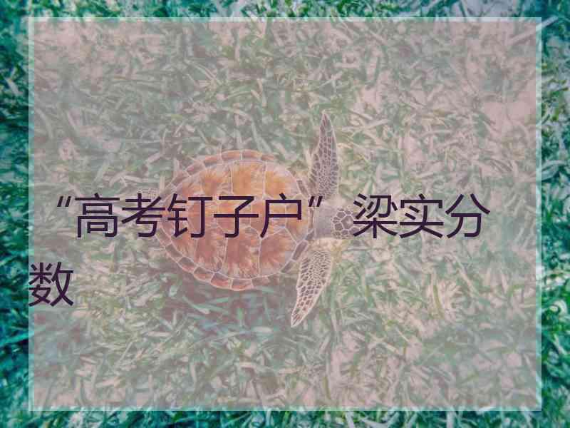 “高考钉子户”梁实分数