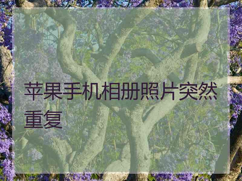 苹果手机相册照片突然重复