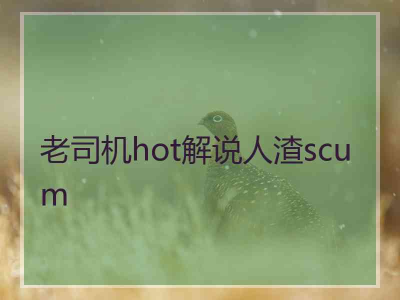 老司机hot解说人渣scum