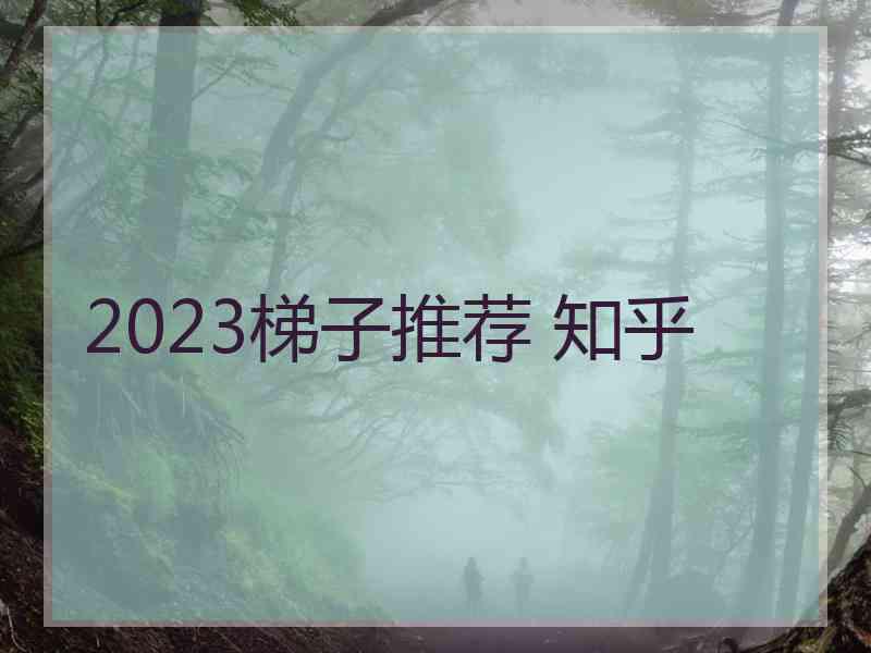 2023梯子推荐 知乎