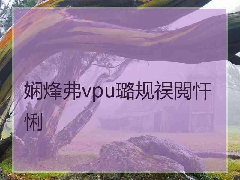 娴烽弗vpu璐规祦閲忓悧