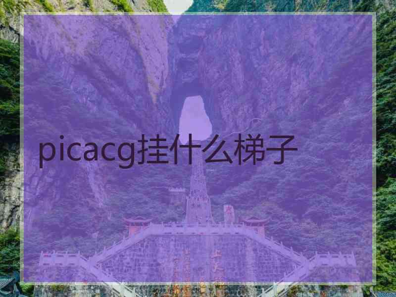 picacg挂什么梯子