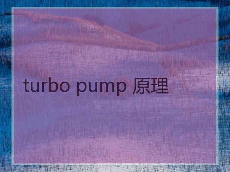 turbo pump 原理
