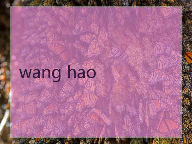 wang hao