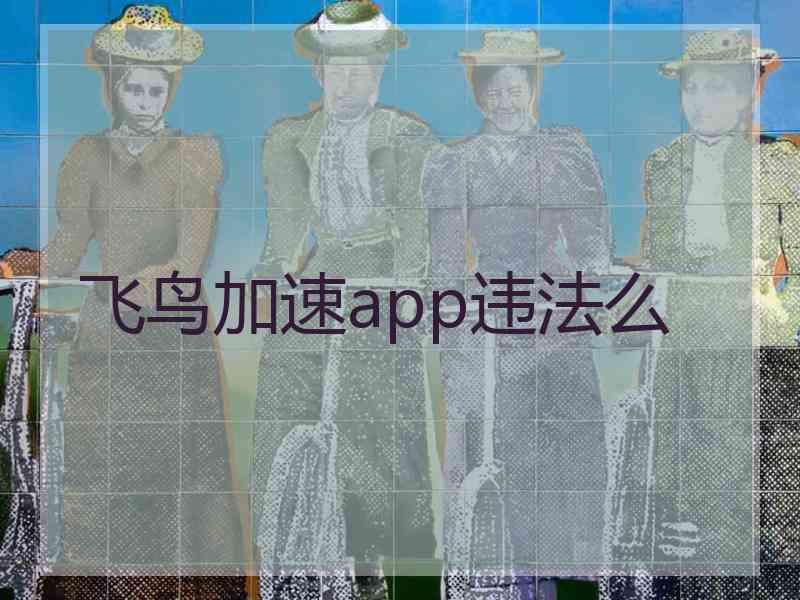 飞鸟加速app违法么