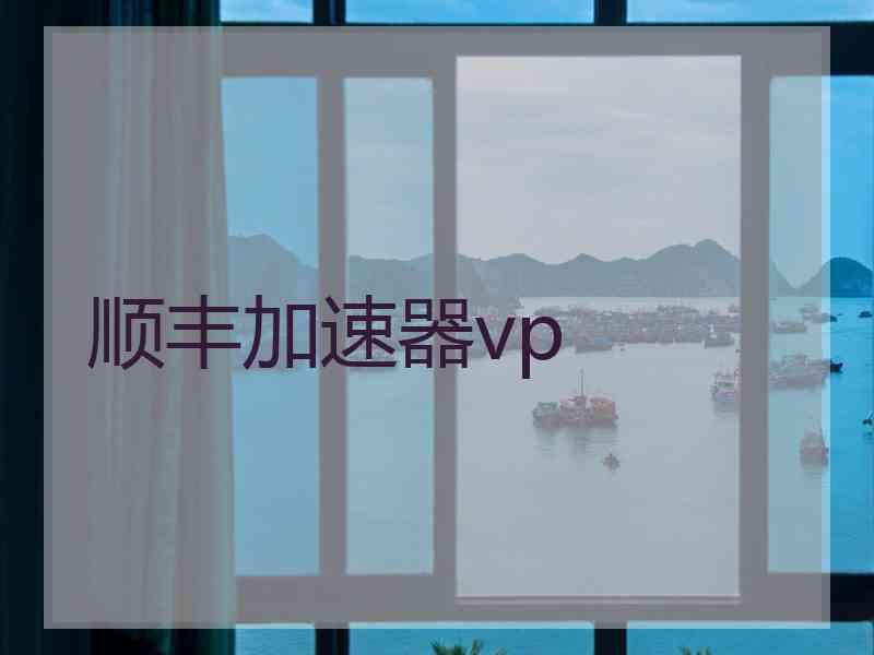 顺丰加速器vp