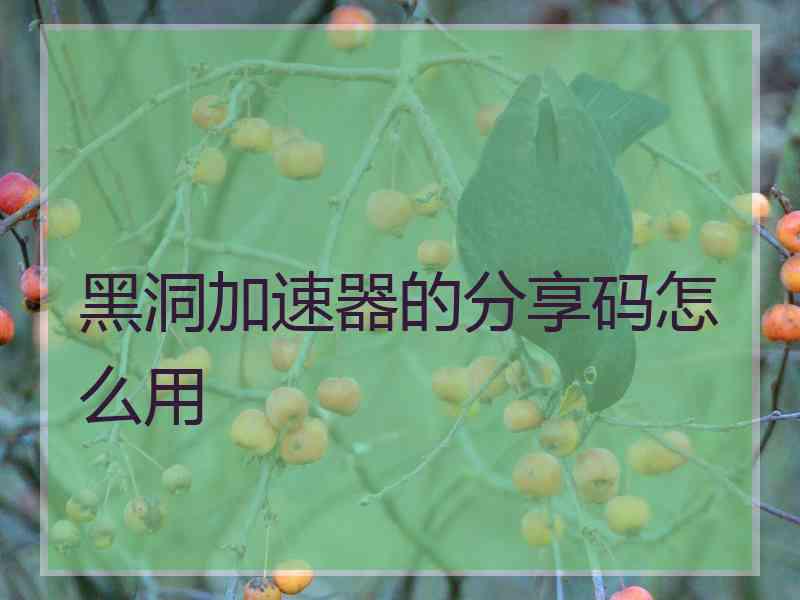 黑洞加速器的分享码怎么用