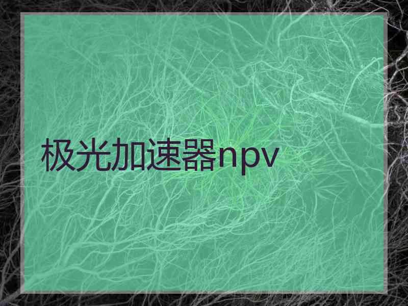 极光加速器npv