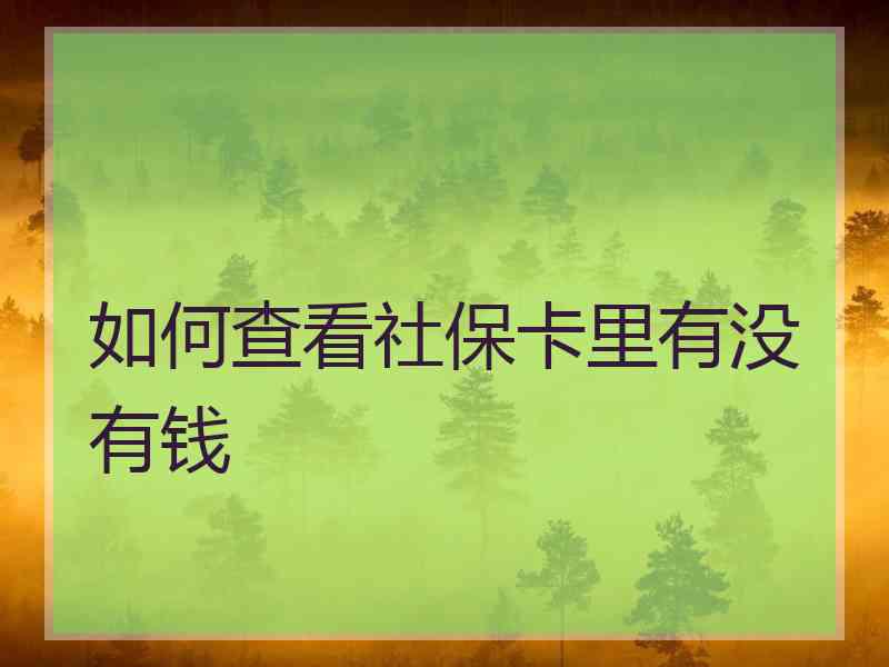 如何查看社保卡里有没有钱