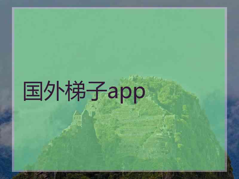 国外梯子app