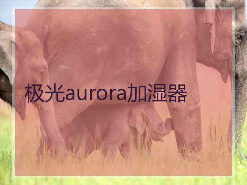 极光aurora加湿器