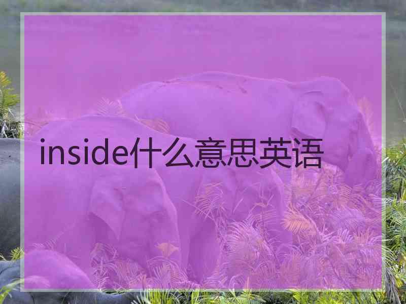 inside什么意思英语