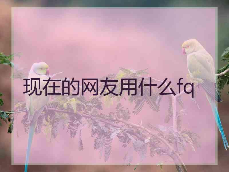 现在的网友用什么fq