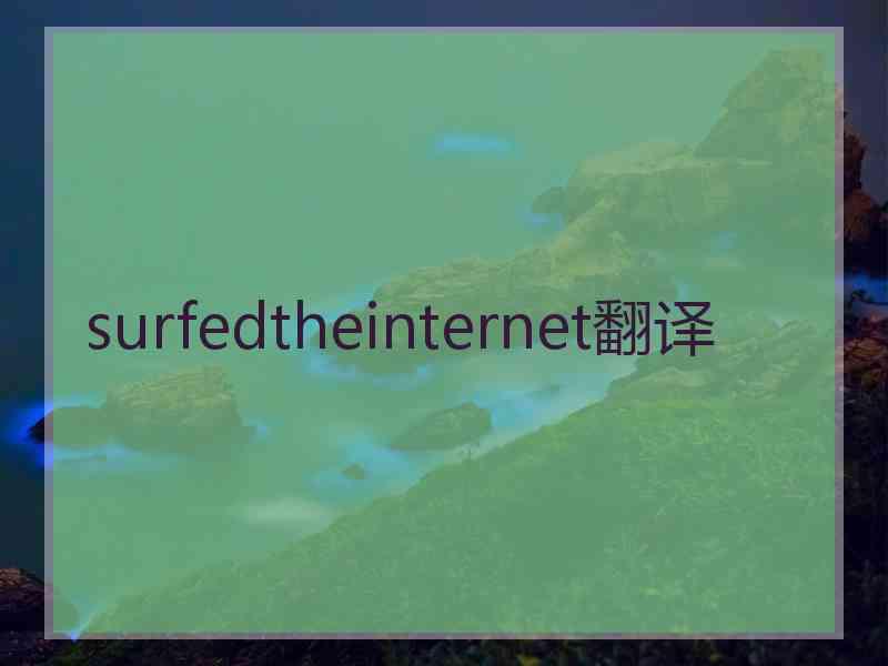 surfedtheinternet翻译