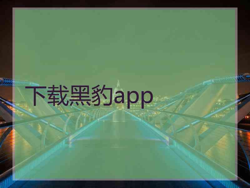 下载黑豹app