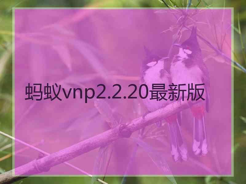 蚂蚁vnp2.2.20最新版