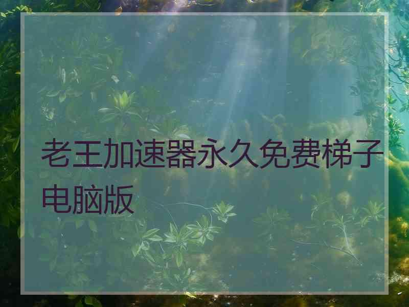 老王加速器永久免费梯子电脑版