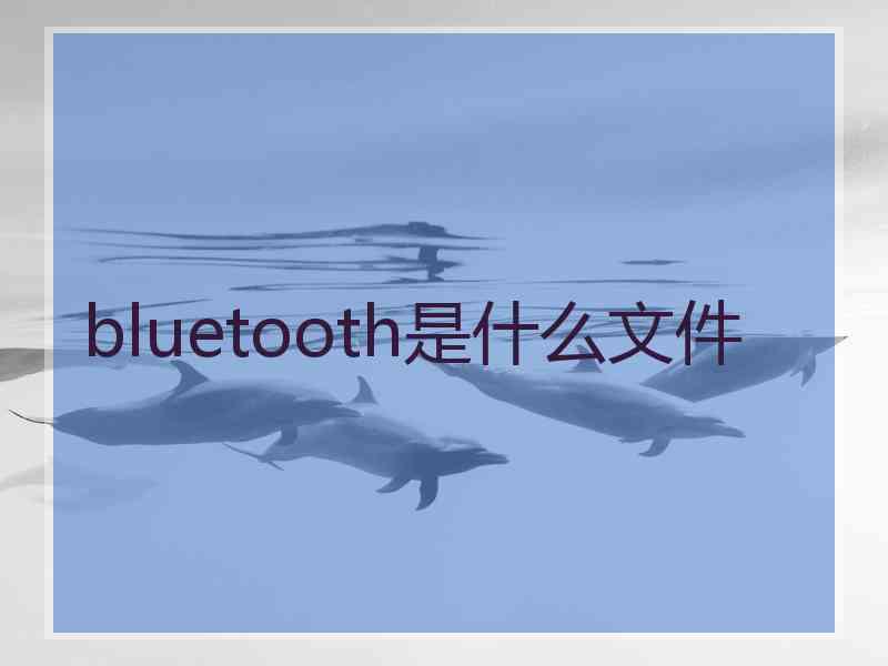 bluetooth是什么文件