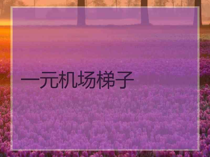 一元机场梯子