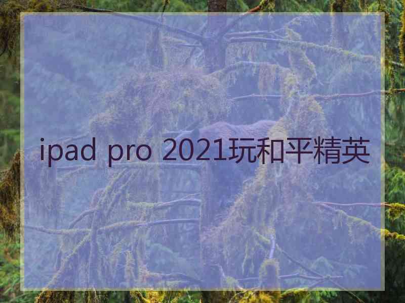 ipad pro 2021玩和平精英