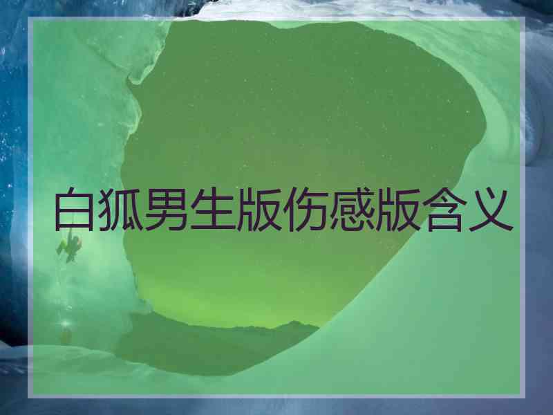 白狐男生版伤感版含义