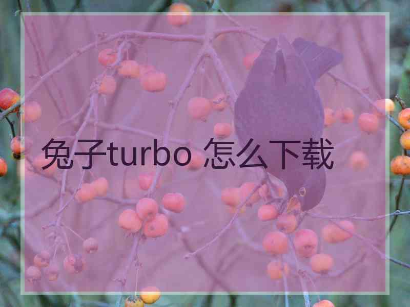 兔子turbo 怎么下载