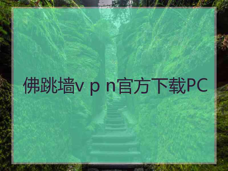 佛跳墙v p n官方下载PC