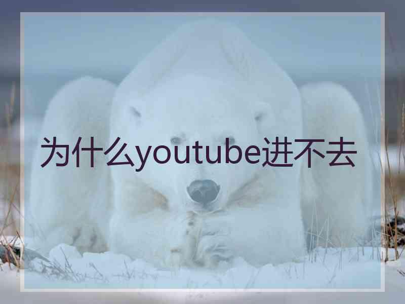 为什么youtube进不去