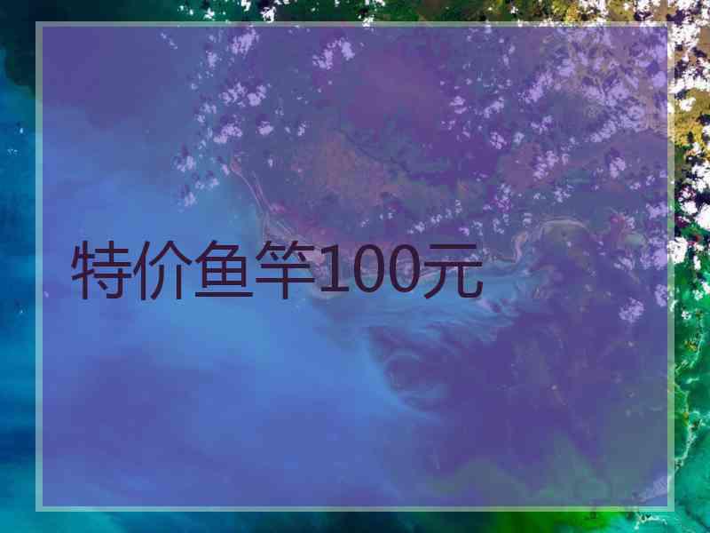 特价鱼竿100元