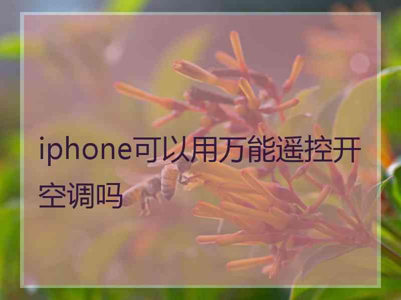 iphone可以用万能遥控开空调吗