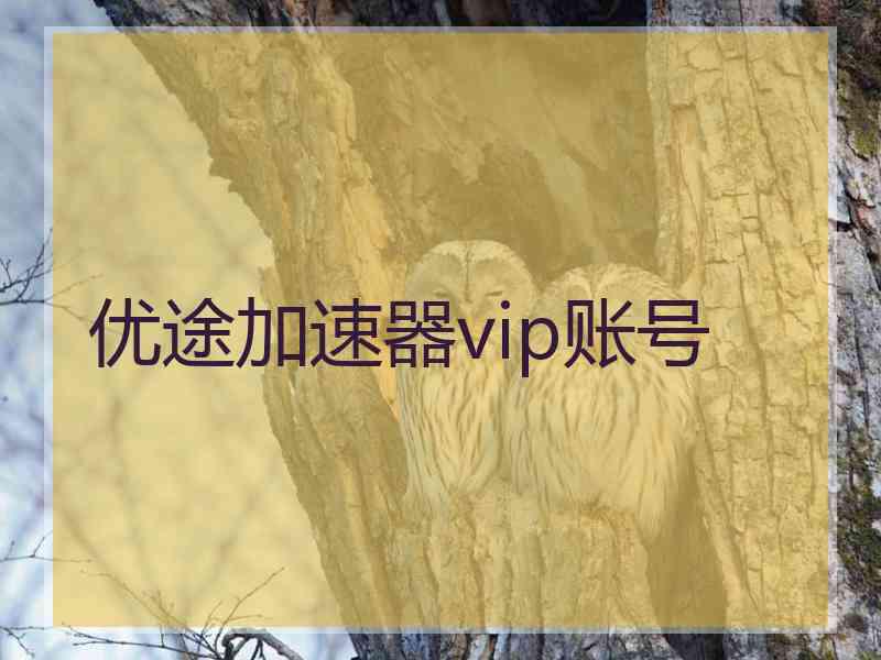 优途加速器vip账号