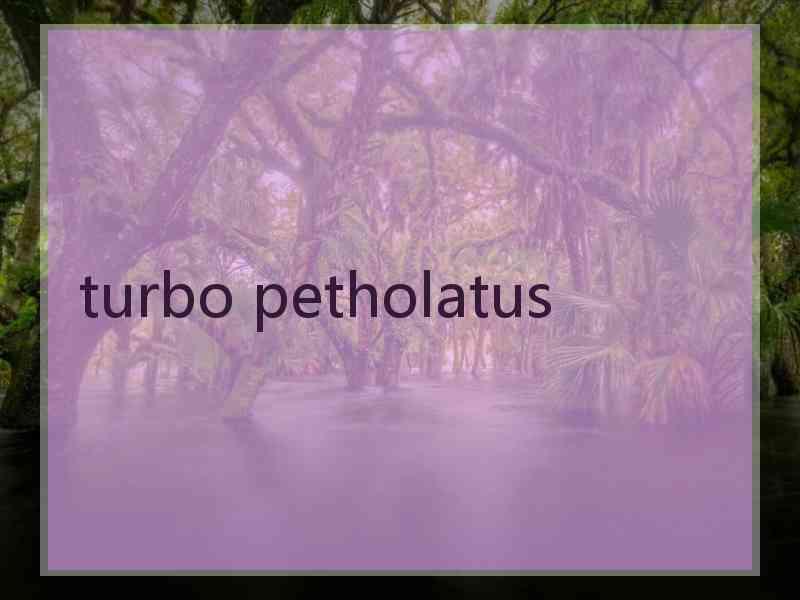 turbo petholatus