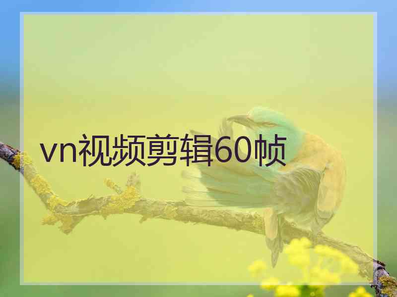 vn视频剪辑60帧