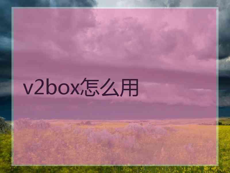 v2box怎么用