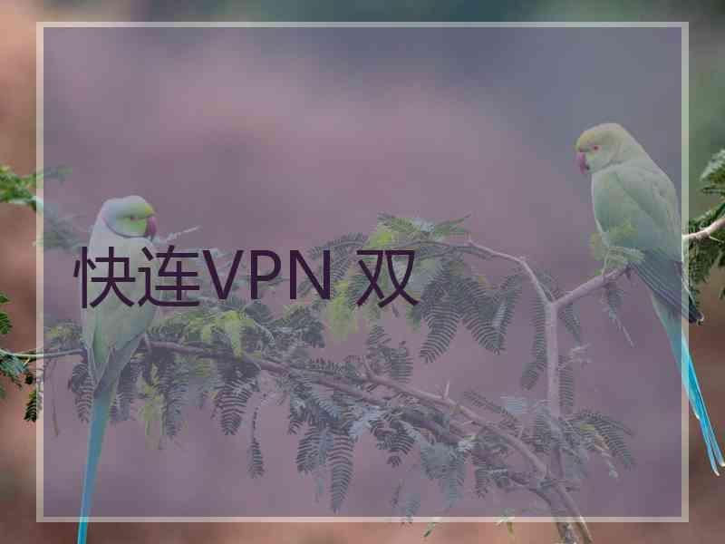 快连VPN 双