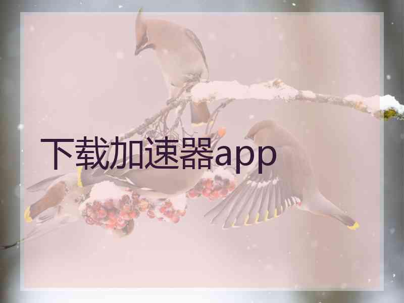 下载加速器app