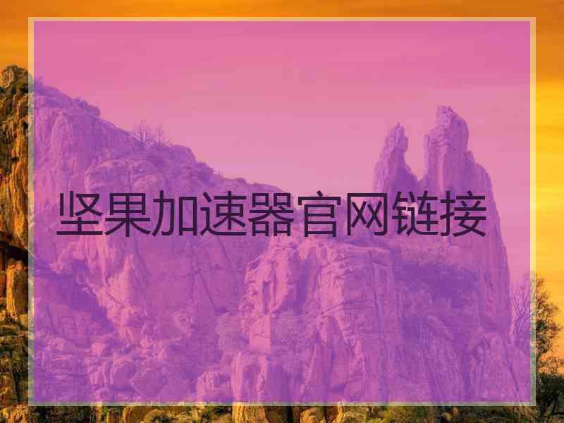 坚果加速器官网链接