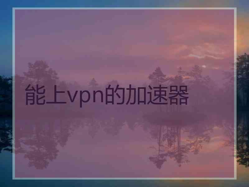 能上vpn的加速器