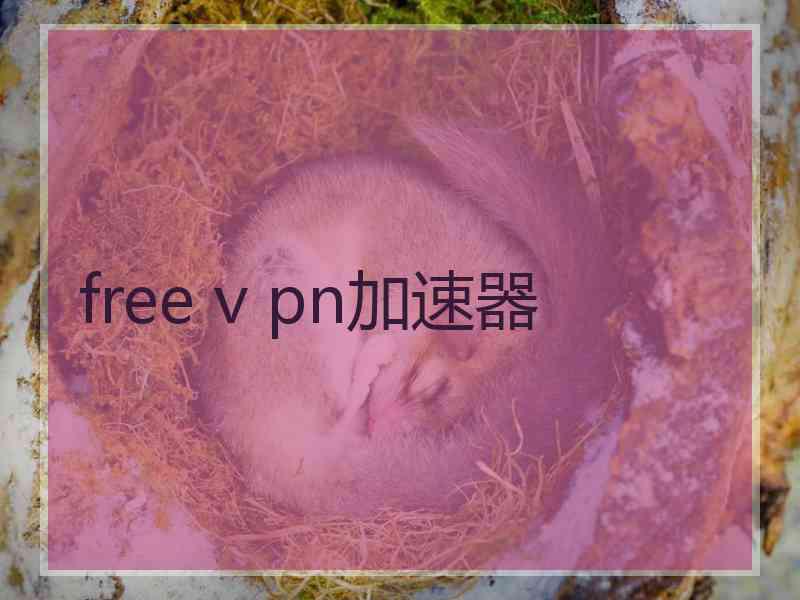 free v pn加速器