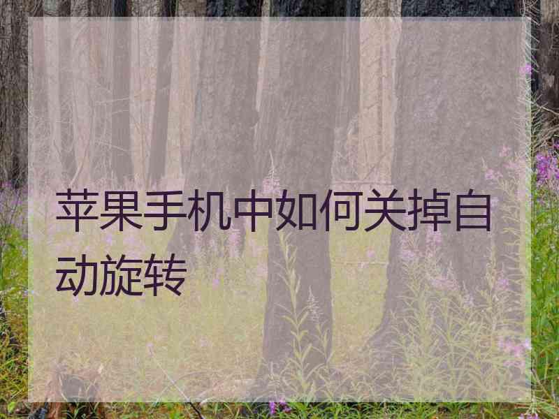 苹果手机中如何关掉自动旋转