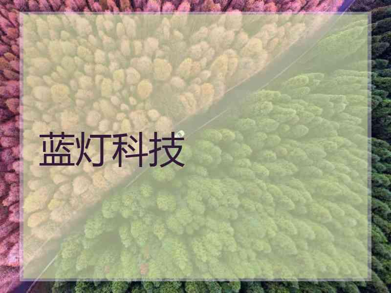 蓝灯科技