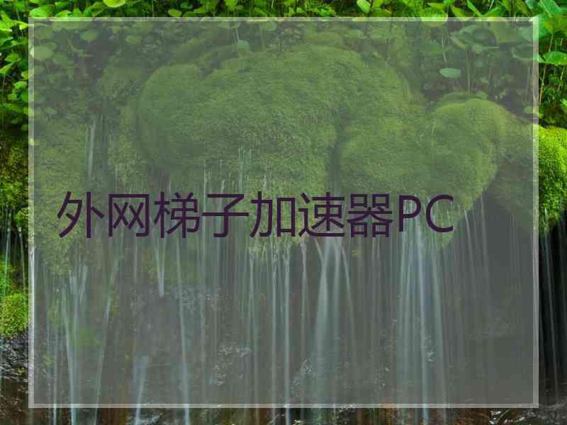 外网梯子加速器PC