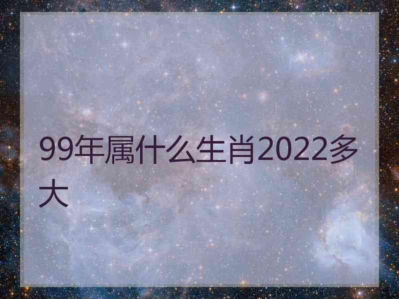 99年属什么生肖2022多大