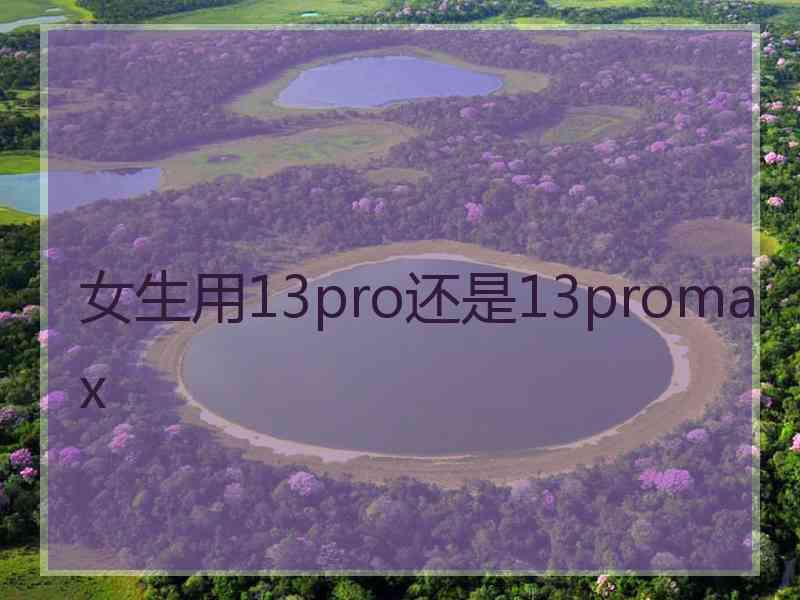 女生用13pro还是13promax