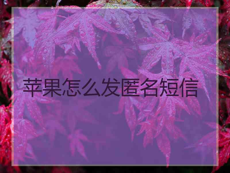 苹果怎么发匿名短信